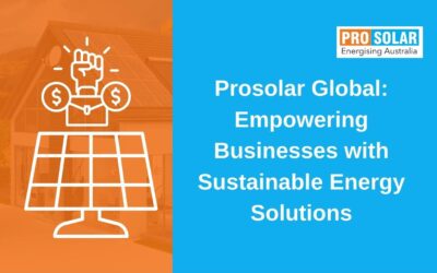 Prosolar Global: Empowering Businesses with Sustainable Energy Solutions