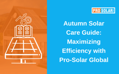 Autumn Solar Care Guide: Maximizing Efficiency with Pro-Solar Global